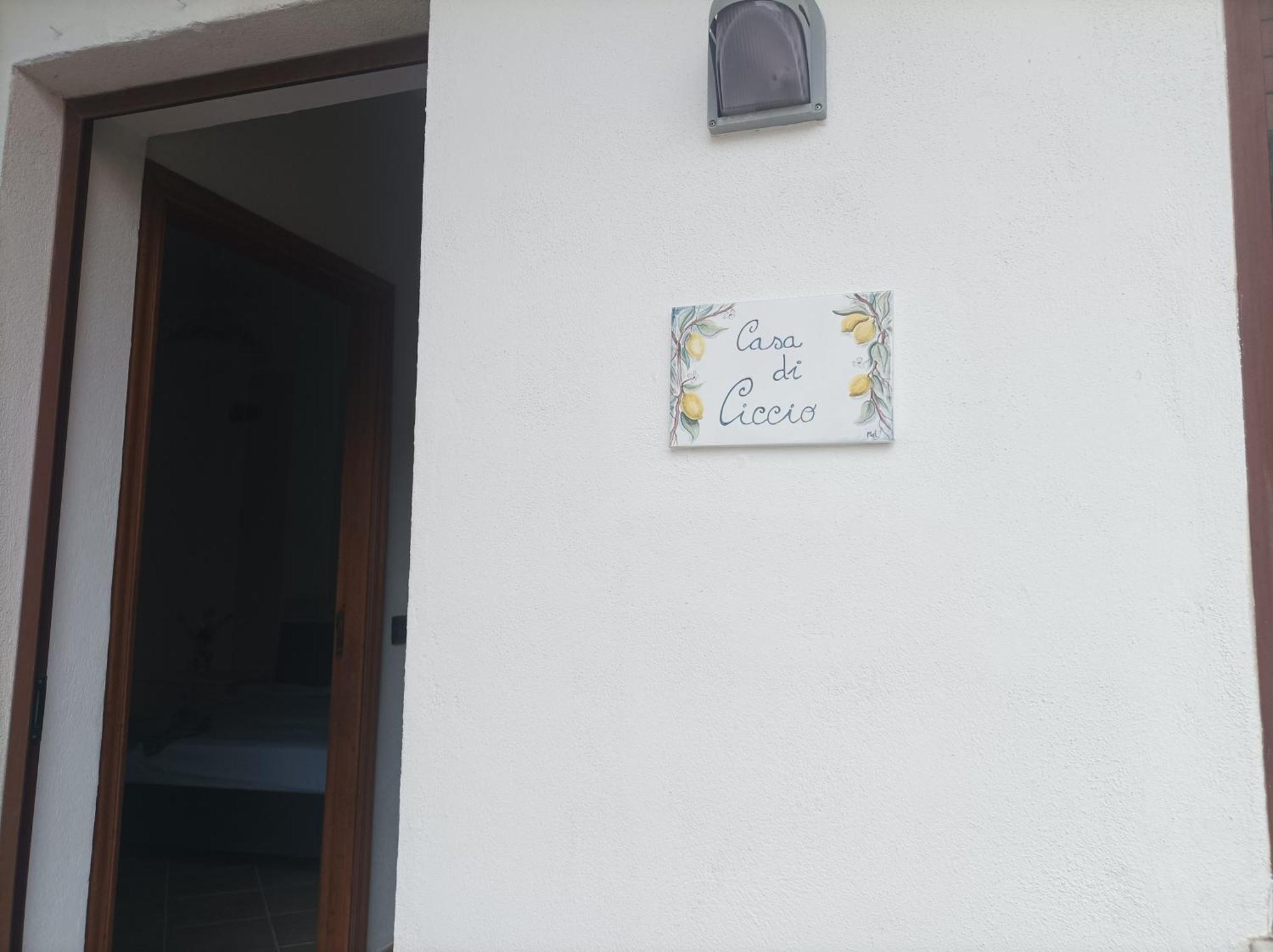 Villa Giardino Degli Oleandri Palinuro Eksteriør billede