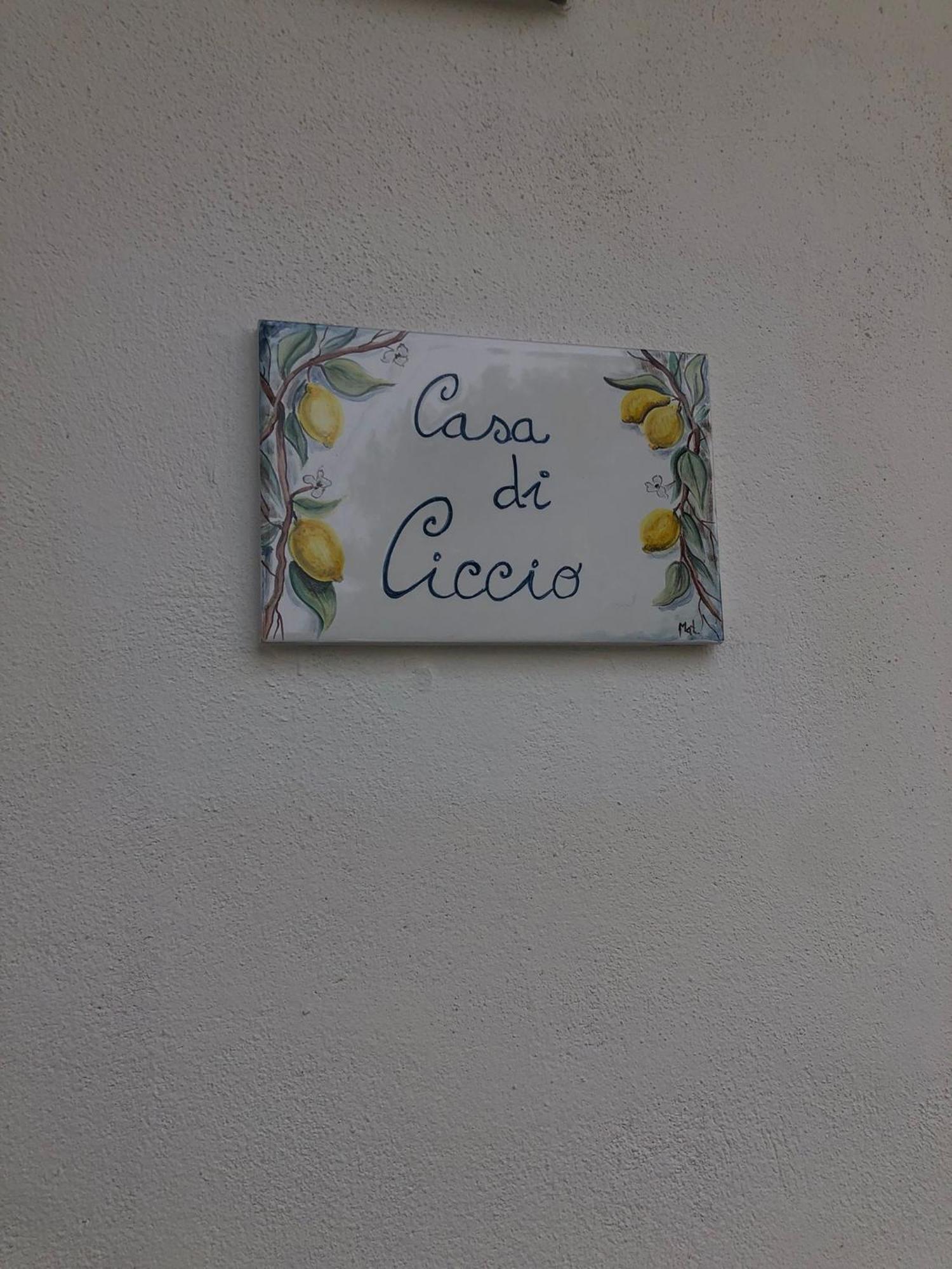 Villa Giardino Degli Oleandri Palinuro Eksteriør billede