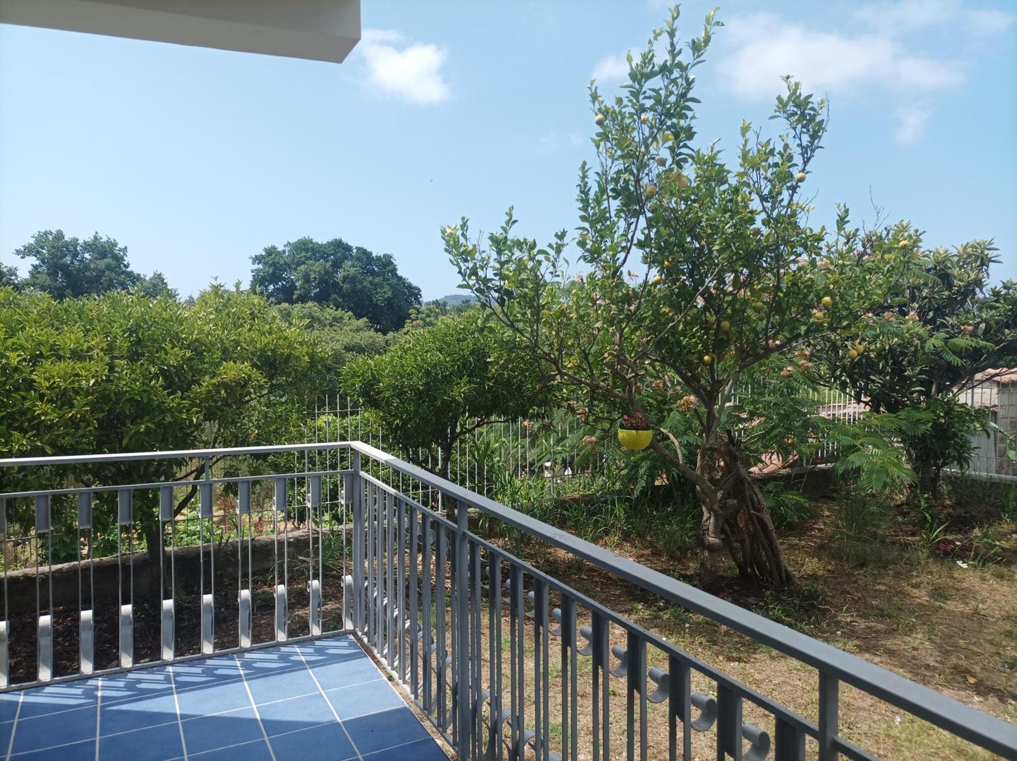 Villa Giardino Degli Oleandri Palinuro Eksteriør billede